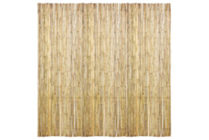 bamboescherm 180 x 180cm op rol gelakt
