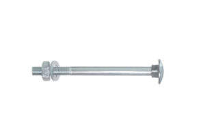 verzinkte slotbout m10 x 100mm met moer en ring