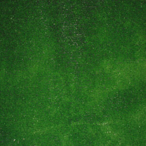 Bruin grenen tuinscherm 180x180 cm