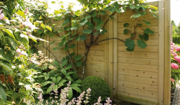 Vuren tuinscherm Basic Excellent | 90x180cm | geïmpregneerd | geschaafd - Afbeelding 3