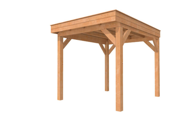 Douglas buitenverblijf Premium plat dak diepte 310cm | diverse breedte maten - Afbeelding 7
