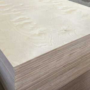 decor multiplex 1 zijdig berken 18mm 244x122cm actie